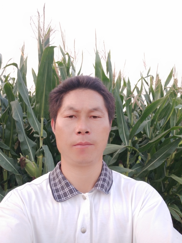 四海游龙的第一张照片--菏泽相亲服务中心