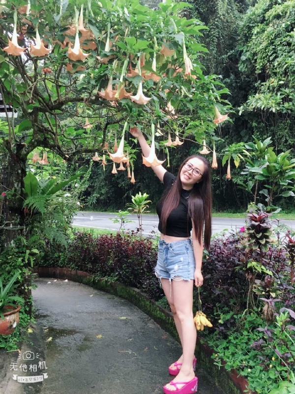 离异单身无子的第二张照片--菏泽相亲服务中心