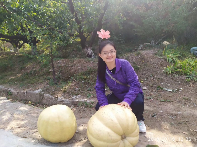 海绵宝宝的第一张照片--菏泽相亲服务中心