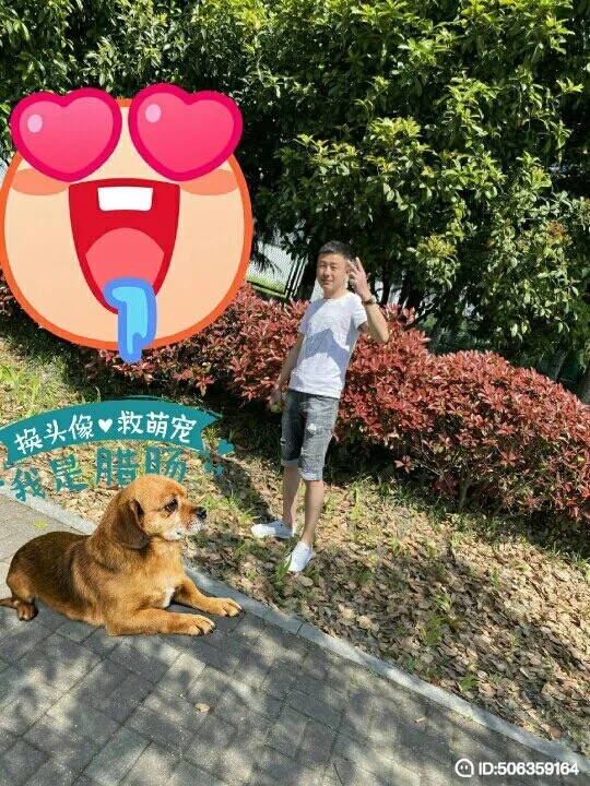 我若不坚强谁替我勇敢的第一张照片--菏泽相亲服务中心