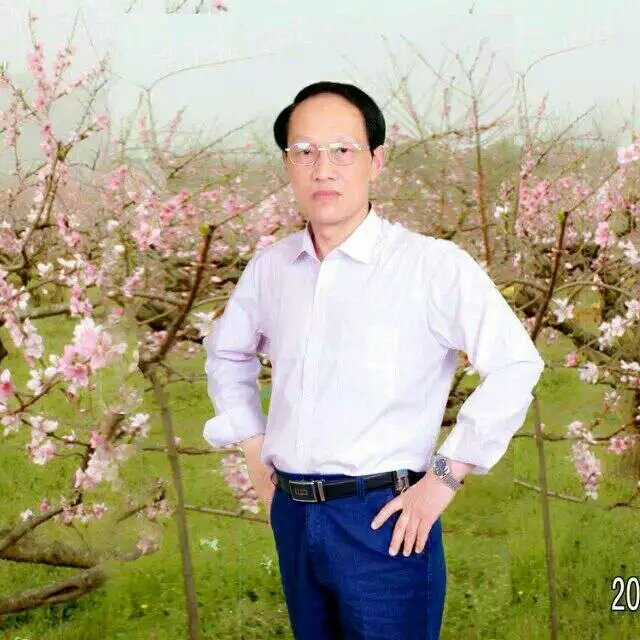 枫叶的第一张照片--菏泽相亲服务中心