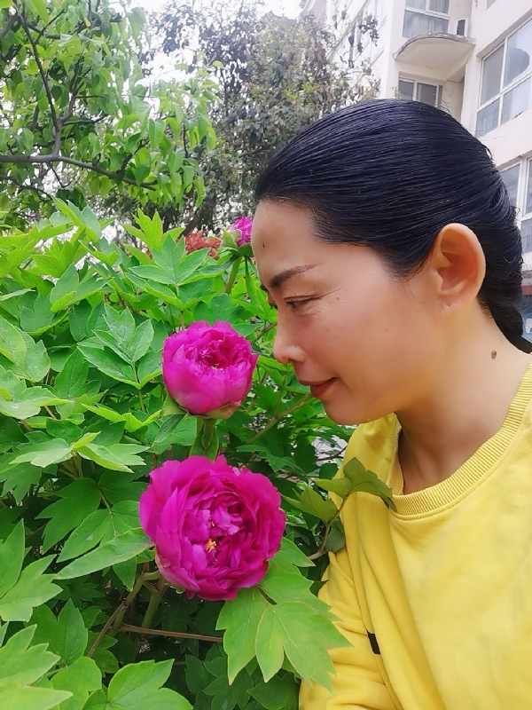 厚德载物的第一张照片--菏泽相亲服务中心