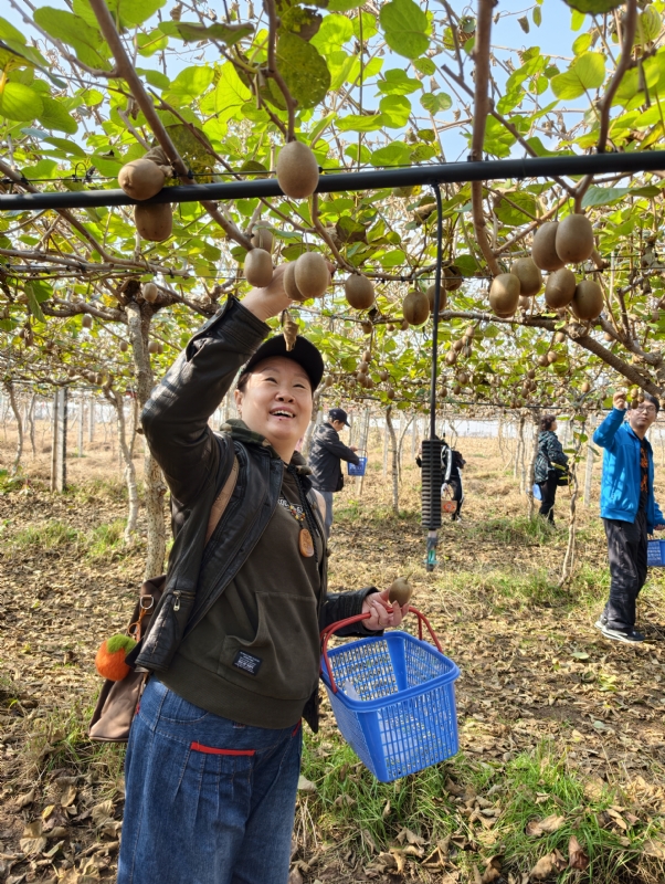 夜莺的第三张照片--菏泽相亲服务中心